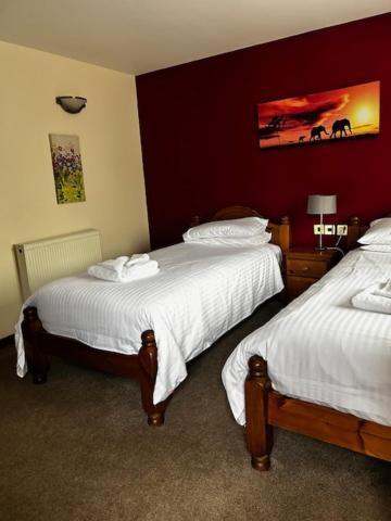 The Fountain Inn Tenbury Wells Экстерьер фото